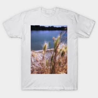 Dry tares plant T-Shirt
